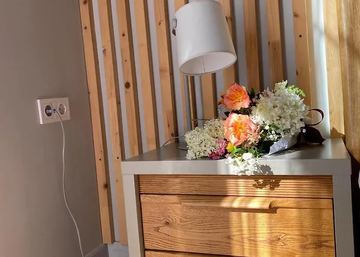 Lviv Apart Центр 2 Кім Ізольовані І Кухня Студія 利沃夫